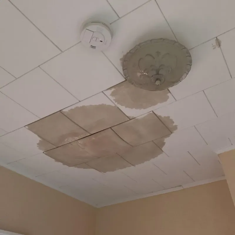 Ceiling Water Damage Repair in Caldwell Parish, LA